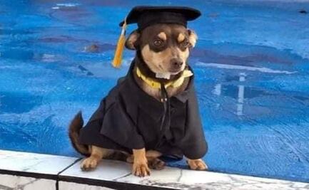 “Canelo”, perrito callejero se gradúa del Cecyteg, Guanajuato y enternece las redes sociales