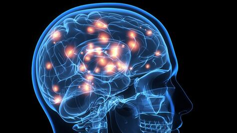¿Es posible borrar recuerdos traumáticos? La luz y el sonido son la clave