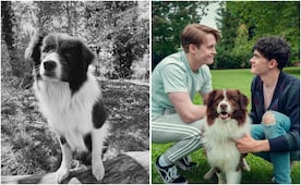 Muere Echo, perrito que interpretó a "Neillie" en Heartstopper; así recuerdan su participación