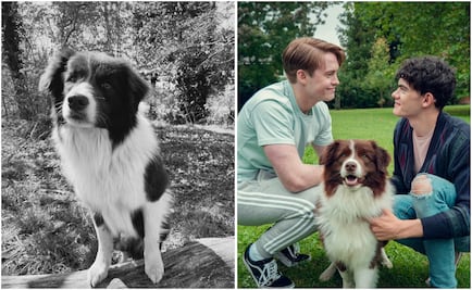 Muere Echo, perrito que interpretó a "Neillie" en Heartstopper; así recuerdan su participación