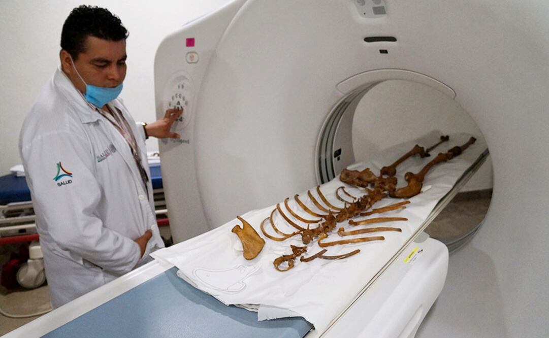 Hoyo Negro, an enormous underground chamber in the Yucatán peninsula that is full of animal remains, was discovered in 2007 - Photo: Taken from INAH's official website