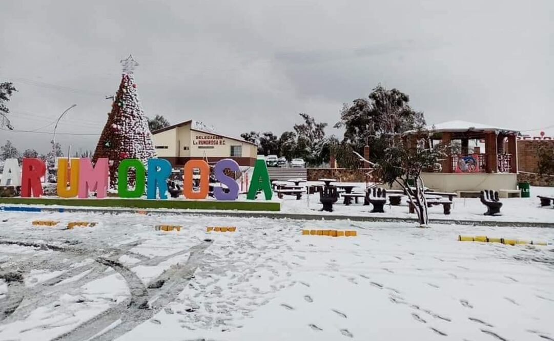 Foto: Facebook  @TecateAyuntamiento