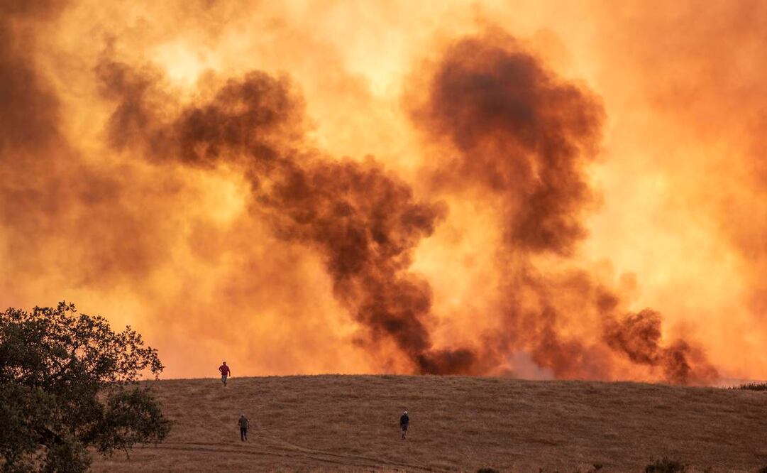 No se prevé además una estabilización del fuego a corto plazo, según el Servicio de Prevención y Extinción de Incendios Forestales de Andalucía  (Fotos: AP)