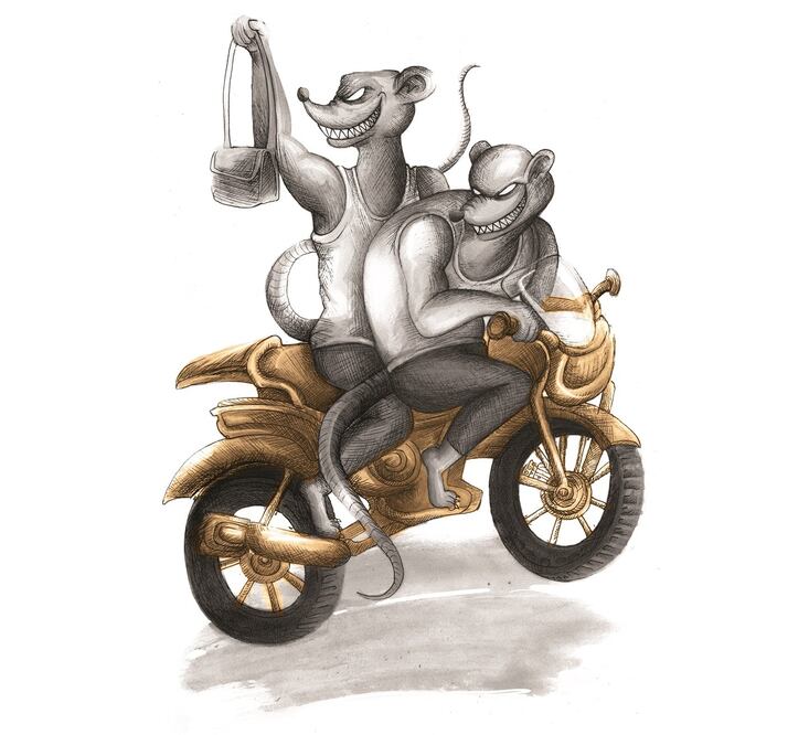 Ilustración: ROSARIO LUCAS