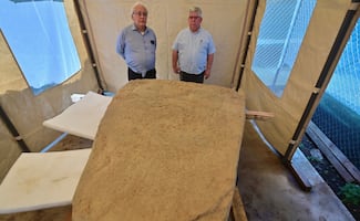 Hallan en Veracruz restos arqueológicos con rasgos mayas y características “nunca vistas”