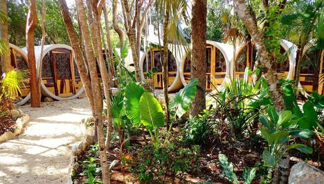 Duerme dentro de un tubo