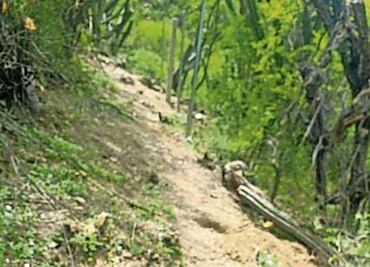 Denuncian despojo de 2.5 mil hectáreas en Huajuapan