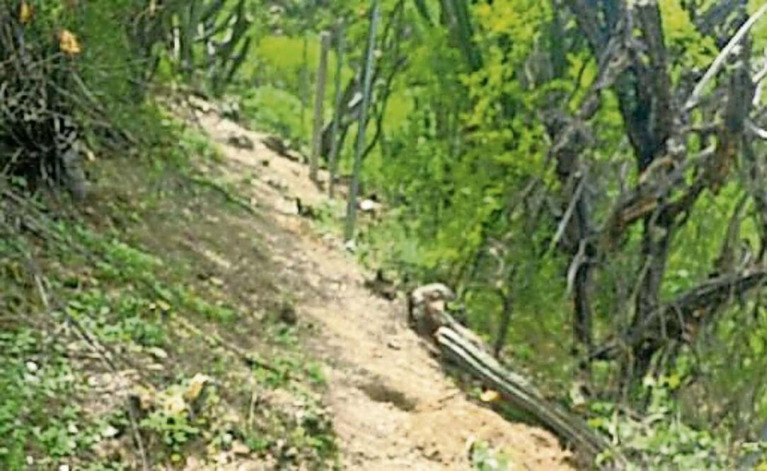 Personas despojadas señalaron que mantienen los títulos de la tierra que datan de 1870, 1880 y 1889. Foto: Especial