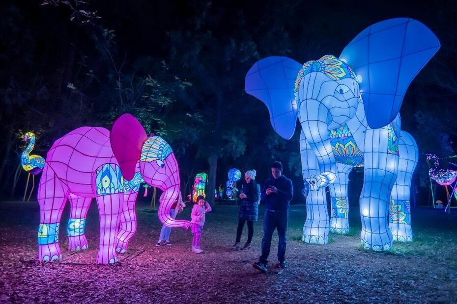 Foto: Brilla Fest, Una Navidad en el bosque