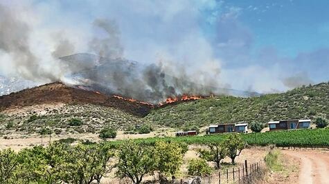 Más de 800 hectáreas, afectadas por incendios