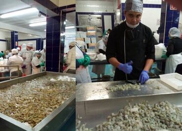 Estudiantes de Sinaloa preparan el aguachile más grande del mundo