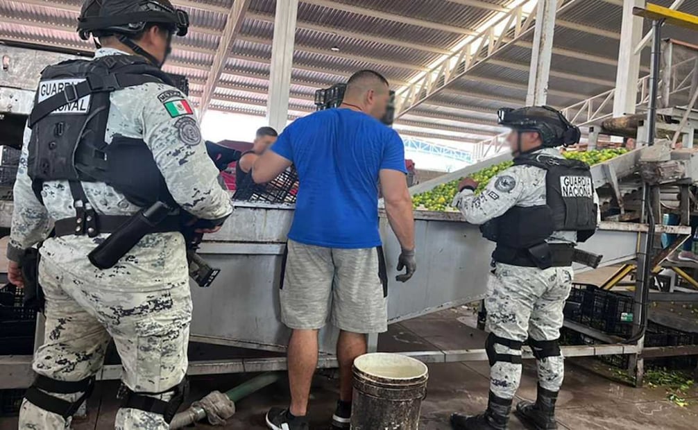 Autoridades federales detuvieron en Michoacán a 28 personas derivado del “Plan Michoacán por la Paz y la Justicia”. Foto: Especial