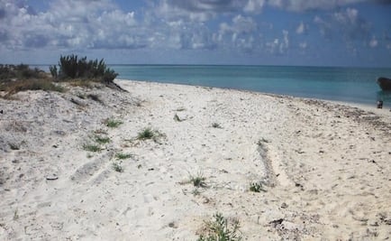 Profepa confirma irregularidades por aterrizaje en arrecife