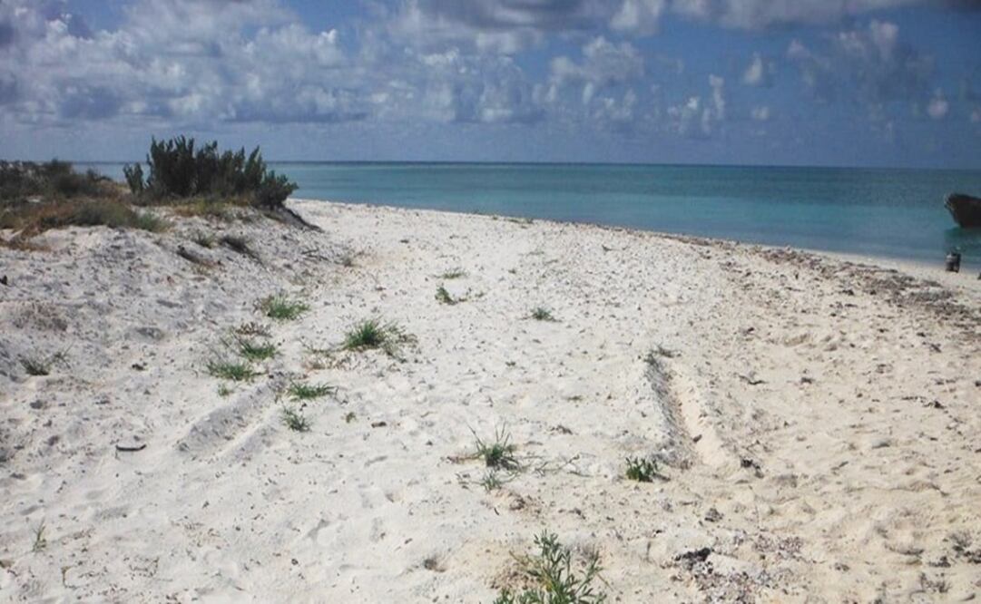 Foto: profepa.gob.mx