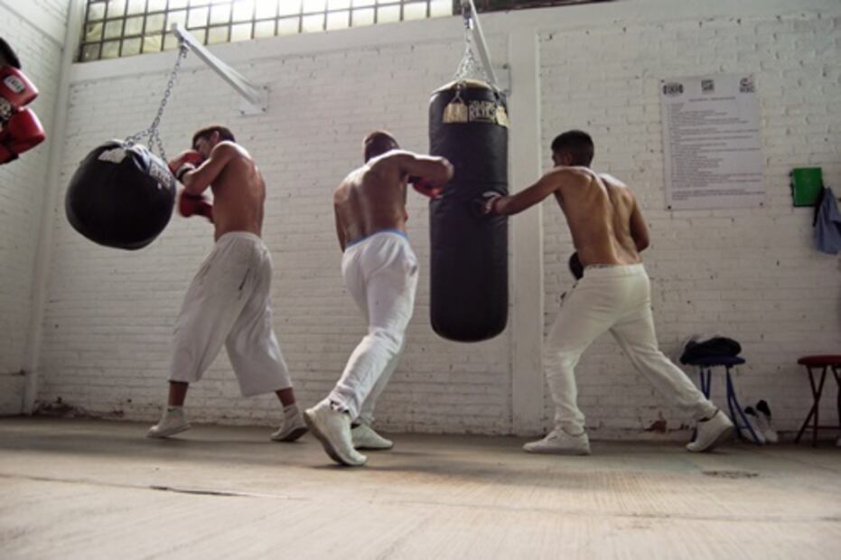 Golpe a golpe se rehabilitan con box