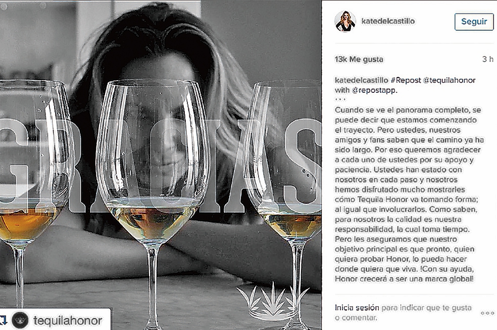 La Procuraduría General de la República busca aclarar si el capo invirtió en la empresa Tequila Honor del Castillo, de la actriz (ARCHIVO EL UNIVERSAL)