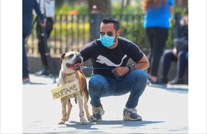 Presentan avances del Hotel de Perros y Gatos Abandonados en la alcaldía Cuauhtémoc