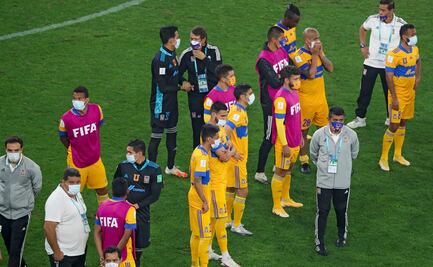 Tigres, un equipo terrenal