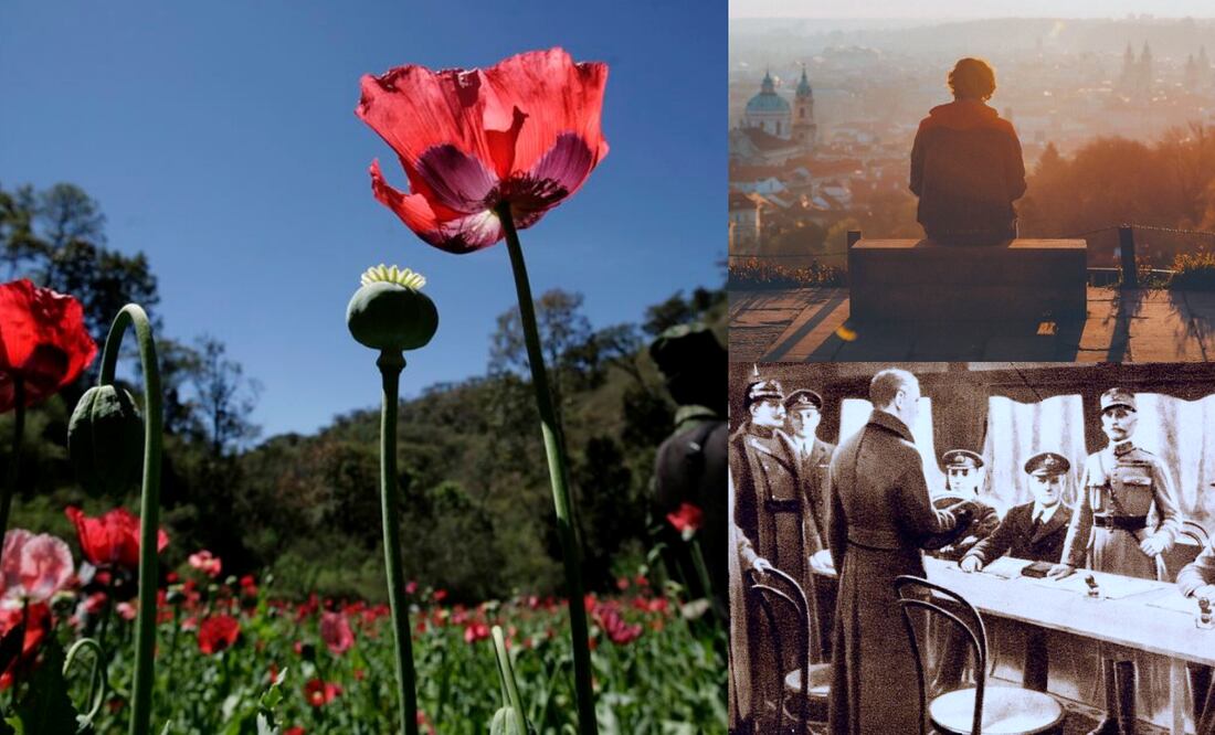 ¿Cuáles son las efemérides de este 11 de noviembre?