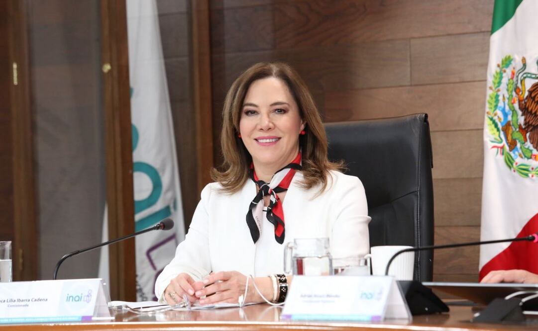 La Comisionada Blanca Lilia Ibarra Cadena determinó que el Instituto Nacional de Migración no abarcó el periodo que le fue requerido. Foto: Especial