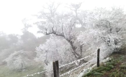 Pánuco, el municipio con la temperatura más baja por onda gélida en Zacatecas