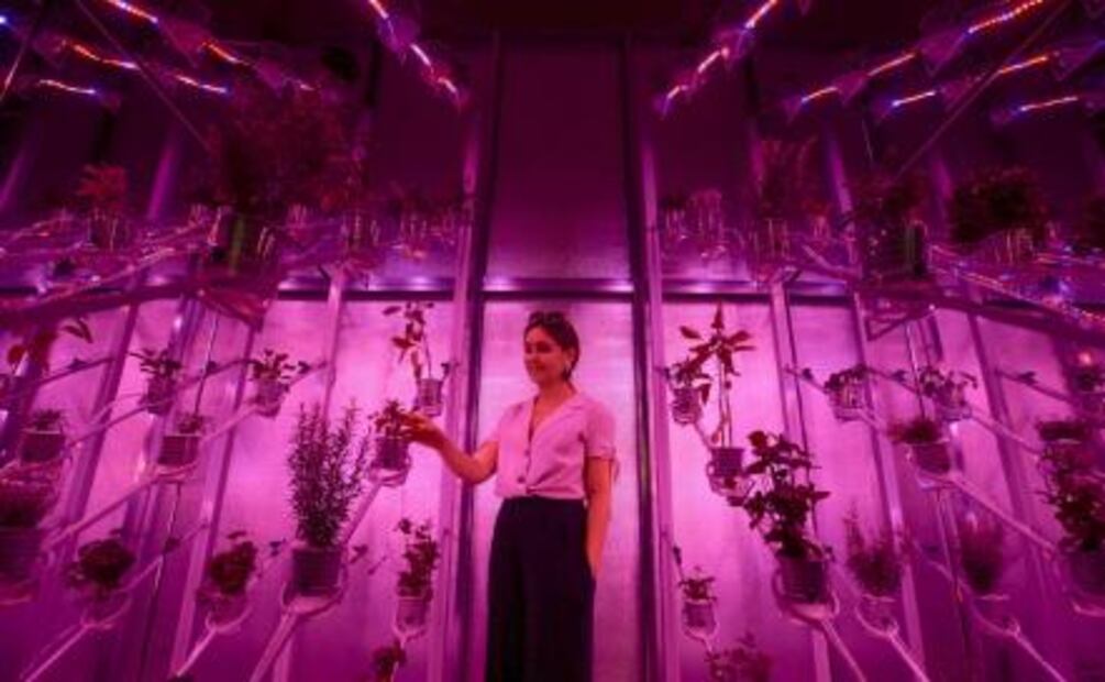 Bienal de diseño de Londres, un viaje sensorial por el mundo