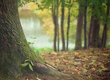Hombre cae a canal de aguas negras y fallece tras quedar atorado de un tronco en Tultitlán
