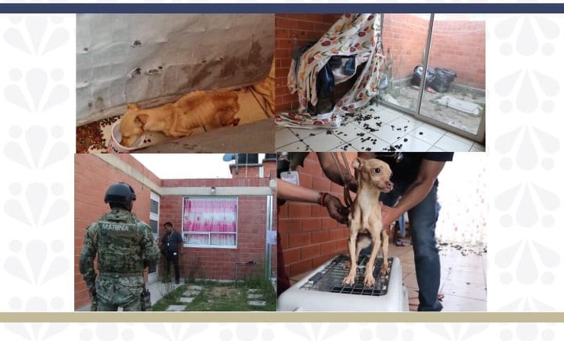 Foto: Fiscalía General del Estado de Puebla