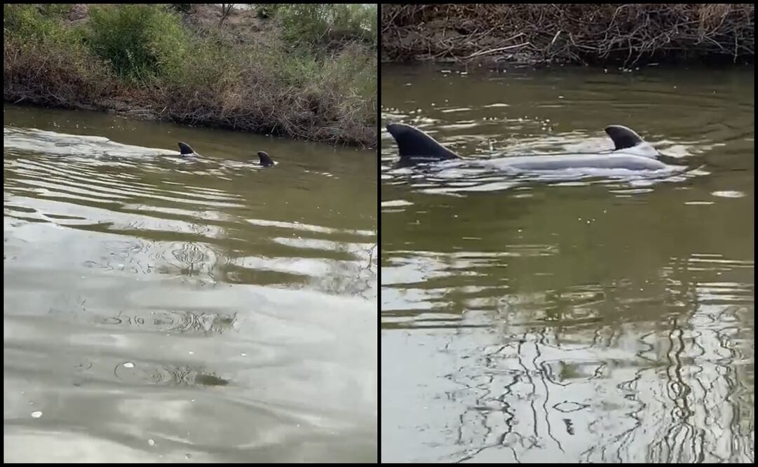 Fotos: capturas de pantalla