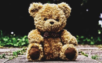 Día Mundial del Oso de Peluche: ¿por qué se regalan cada 25 de noviembre?