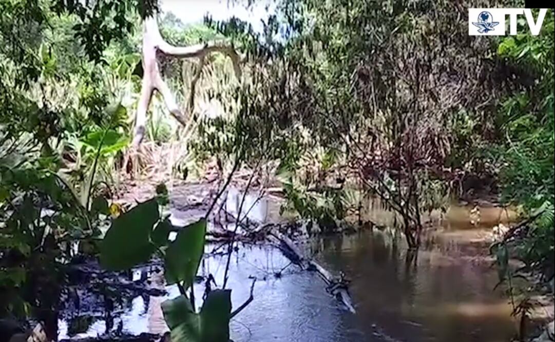 Taken from ELUNIVERSAL TV