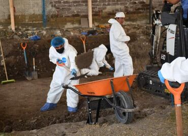 Colectivos de desaparecidos estiman 60 cuerpos recuperados de fosas irregulares en Morelos; continúan trabajos para ordenar datos sobre exhumaciones