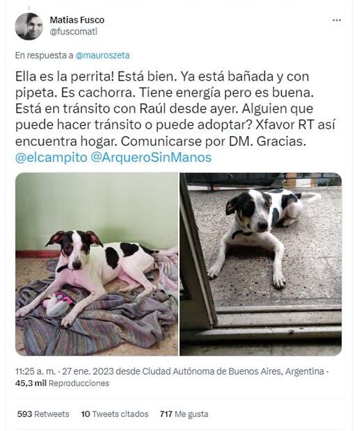 VIDEO: Saca a pasear a perrita y la abandona amarrada en una reja, vecinos la rescatan