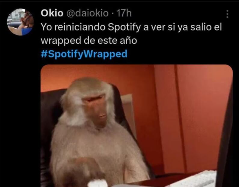 Spotify Wrapped: los mejores memes para esperar el resumen musical de la app. Fuente: X