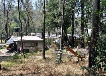 Regidores de Naucalpan piden preservar hectáreas restantes del Parque Nacional de Los Remedios