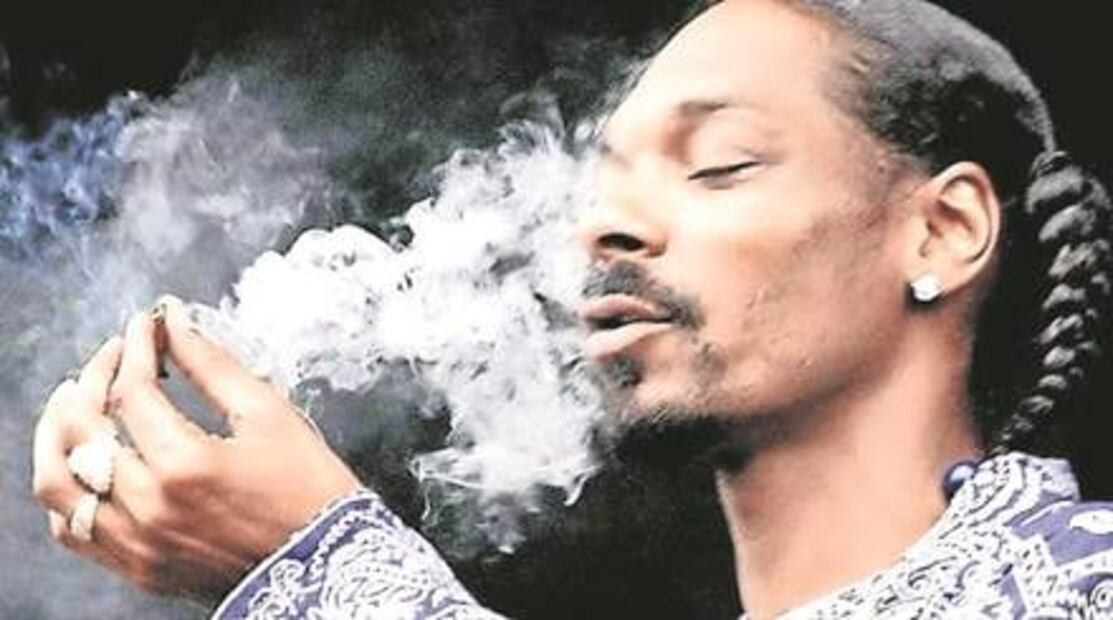 Famosos a favor del uso recreativo de marihuana