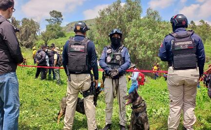 Binomios caninos localizan restos humanos en Tlalnepantla, Edomex; hallan extremidades en bolsas negras
