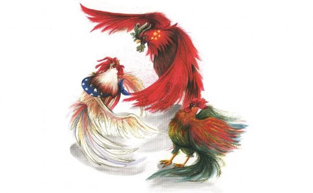 Illustration by Rosario Lucas