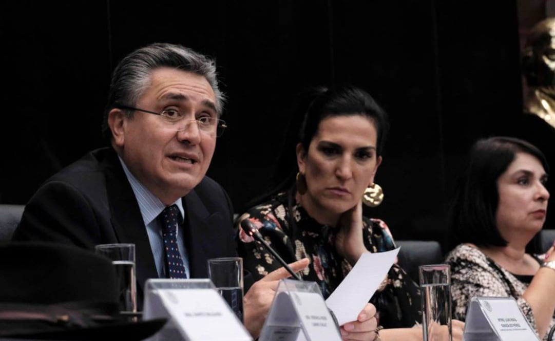 Luis Raúl González Pérez, presidente de la CNDH (Foto: Twitter / @CNDH)