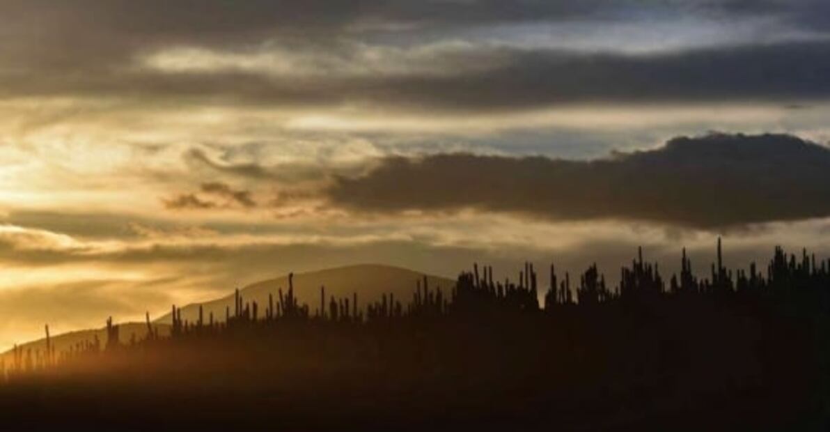 Maravillas naturales que puedes visitar en Tlaxcala