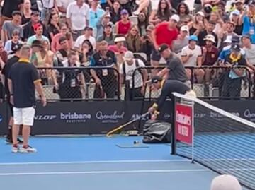 Víbora sorprende e interrumpe partido del ATP 250 de Brisbane