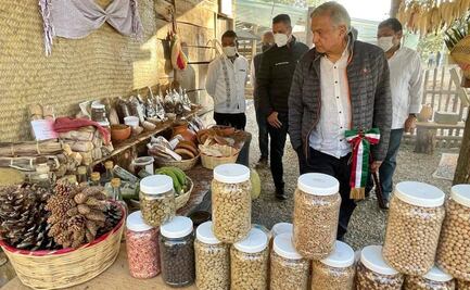 Sembrando Vida no usa productos transgénicos ni agroquímicos, asegura AMLO