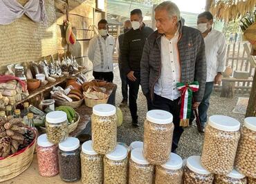 Sembrando Vida no usa productos transgénicos ni agroquímicos, asegura AMLO