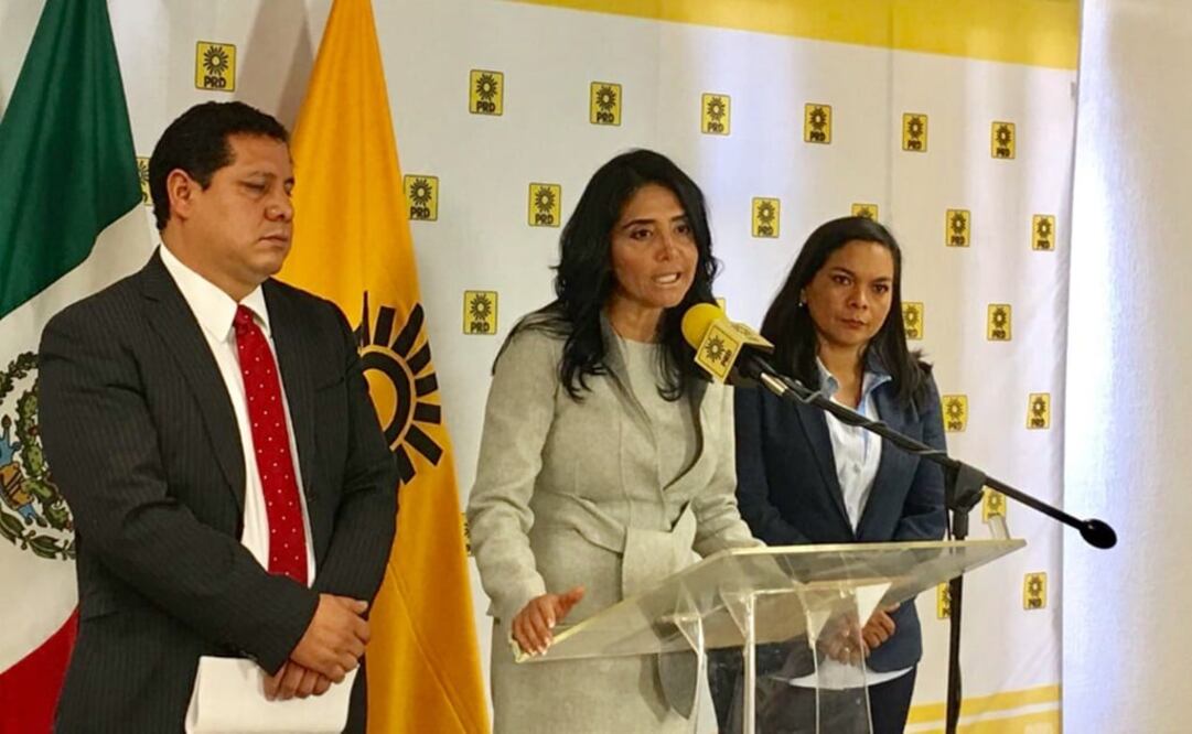 La perredista ofreció una conferencia para demandar al Gobierno federal "no cruzarse de brazos" ante las medidas que tomará Trump. /Tomada de @Ale_BarralesM