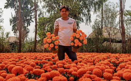 “Toda mi vida he crecido entre plantas”