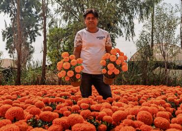 “Toda mi vida he crecido entre plantas”