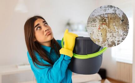 Qué diferencias hay entre la humedad y el salitre, según arquitectos