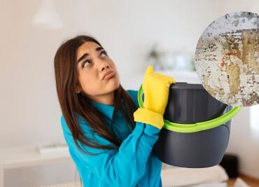 Qué diferencias hay entre la humedad y el salitre, según arquitectos