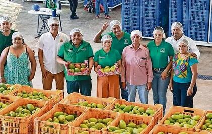 Candidatos de Morena analizan pedir protección