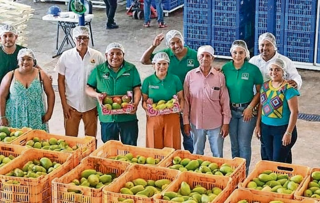 El edil de Chahuites, Joaquín Martínez López (al centro, con mano arriba), estuvo este lunes en una empacadora de mangos. Foto: Especial